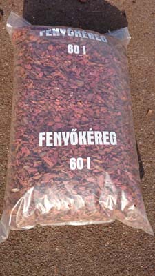 Fenyőkéreg